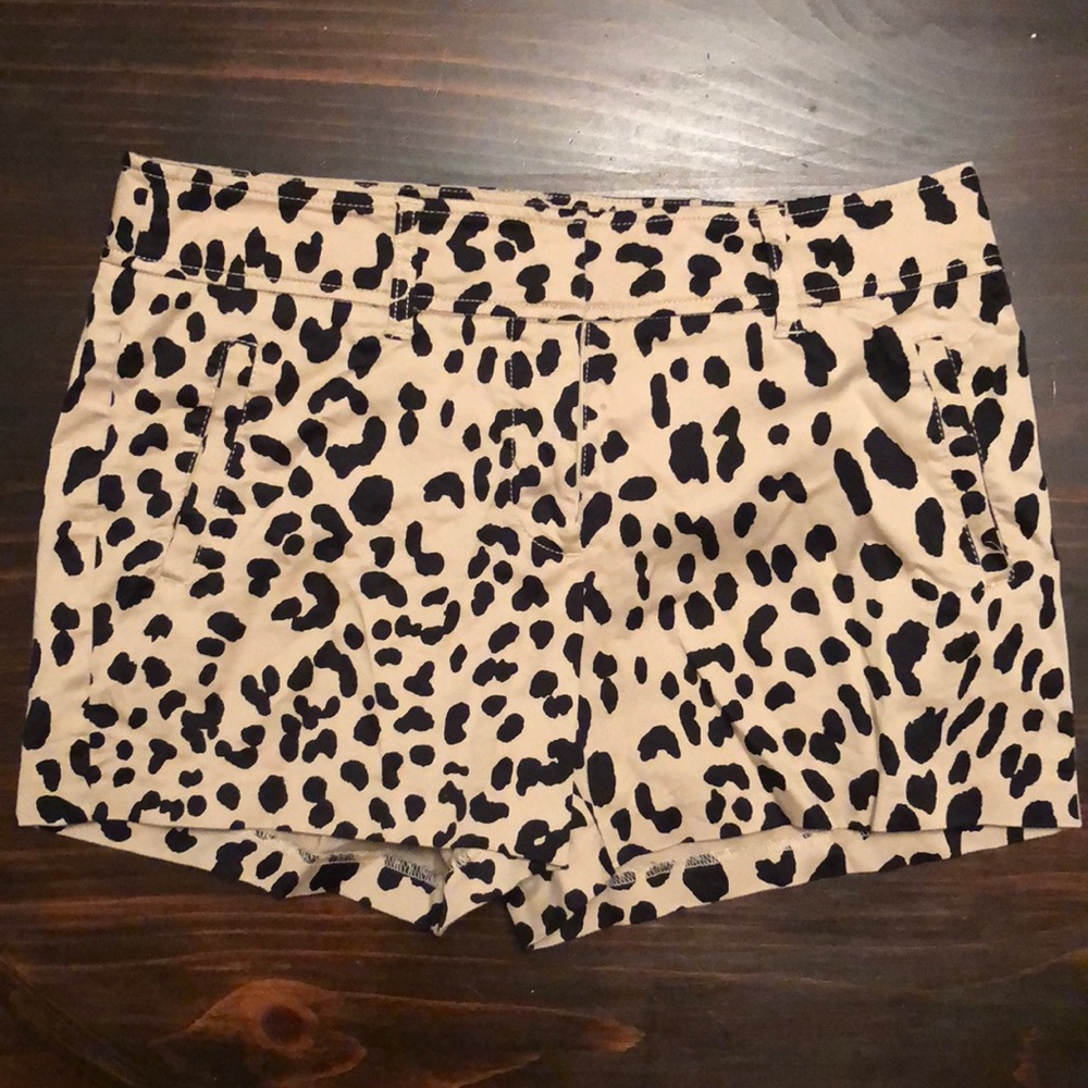 Caché - Animal Print Shorts
